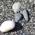 313-1753 Pebbles on Beach